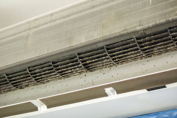 Best Local Air Duct Cleaning Services  in Martinsburg, WV